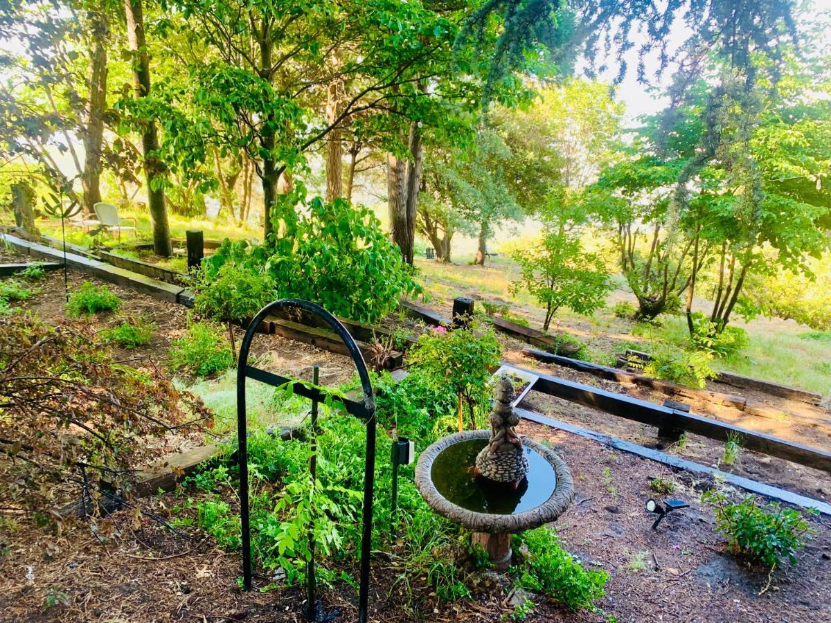 100 Mile View-Fire Pit, Romantic, Peaceful, Private Crestline ภายนอก รูปภาพ