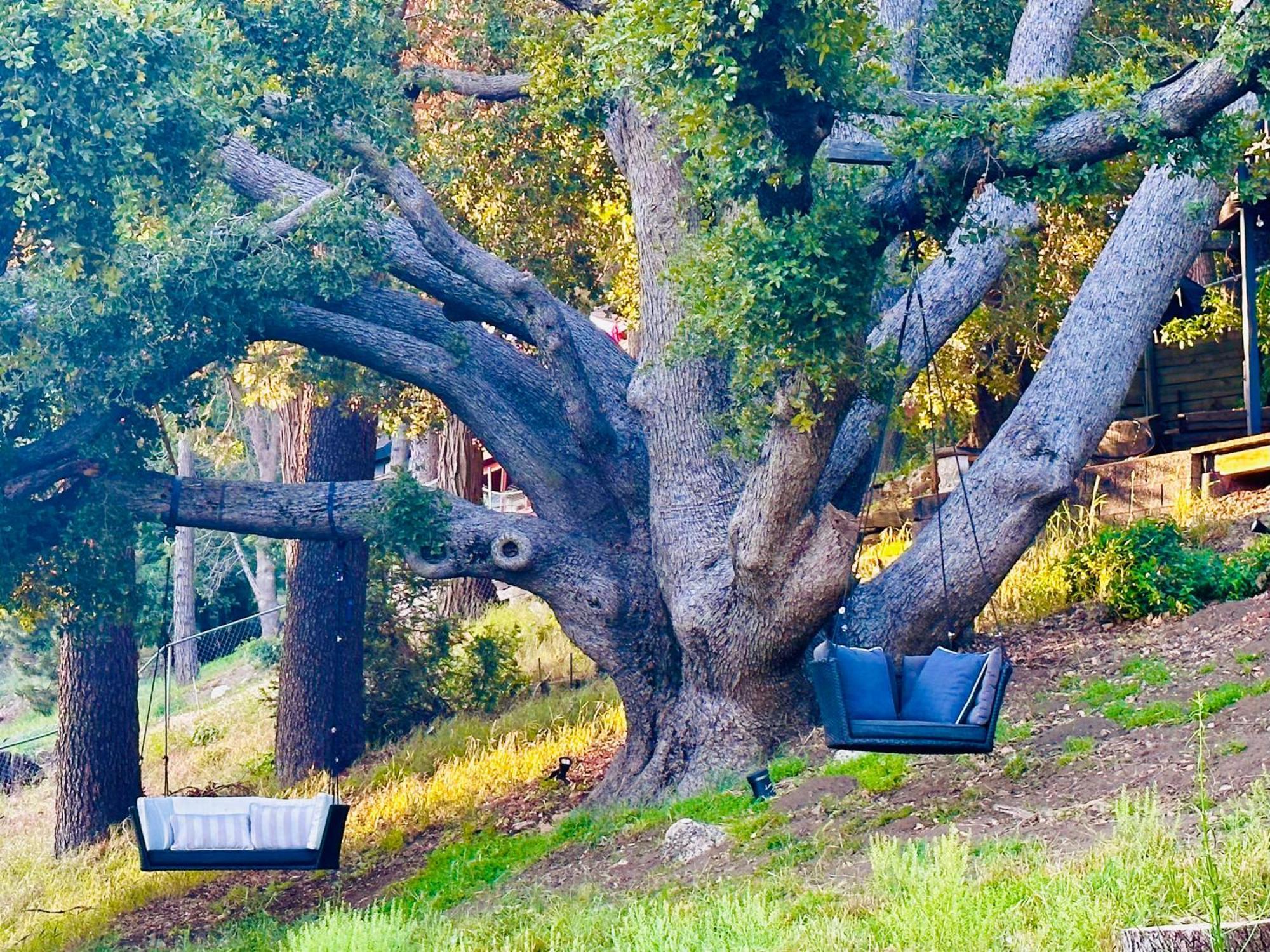 100 Mile View-Fire Pit, Romantic, Peaceful, Private Crestline ภายนอก รูปภาพ